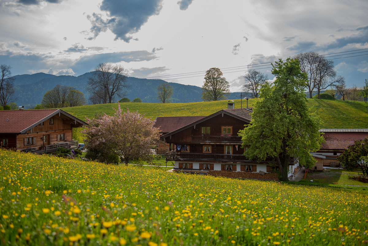 berghammers-ferienwohnungen-am-tegernsee-hofleben